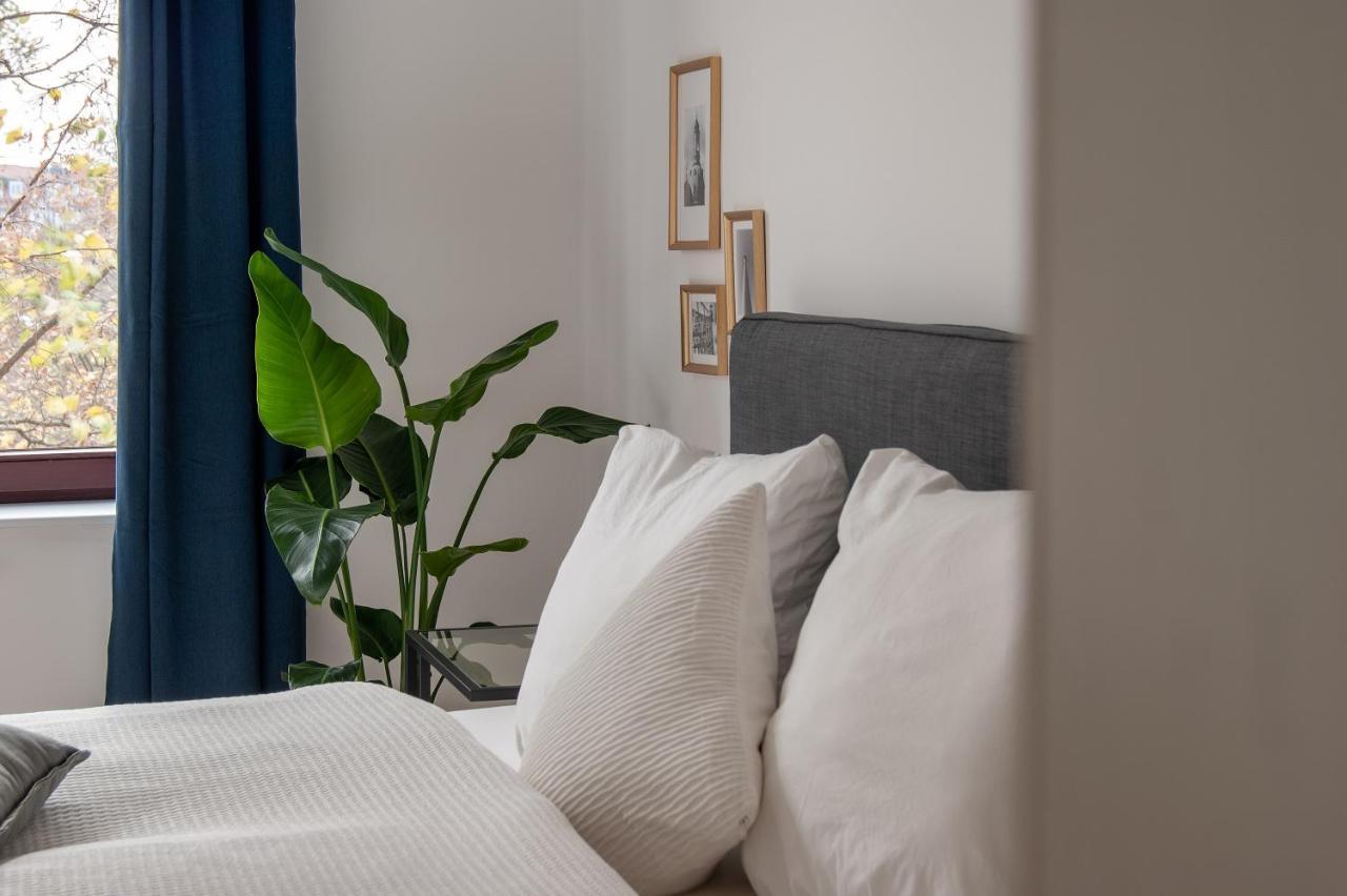 Grosse Familienfreundliche Wohnung In Dresde Extérieur photo